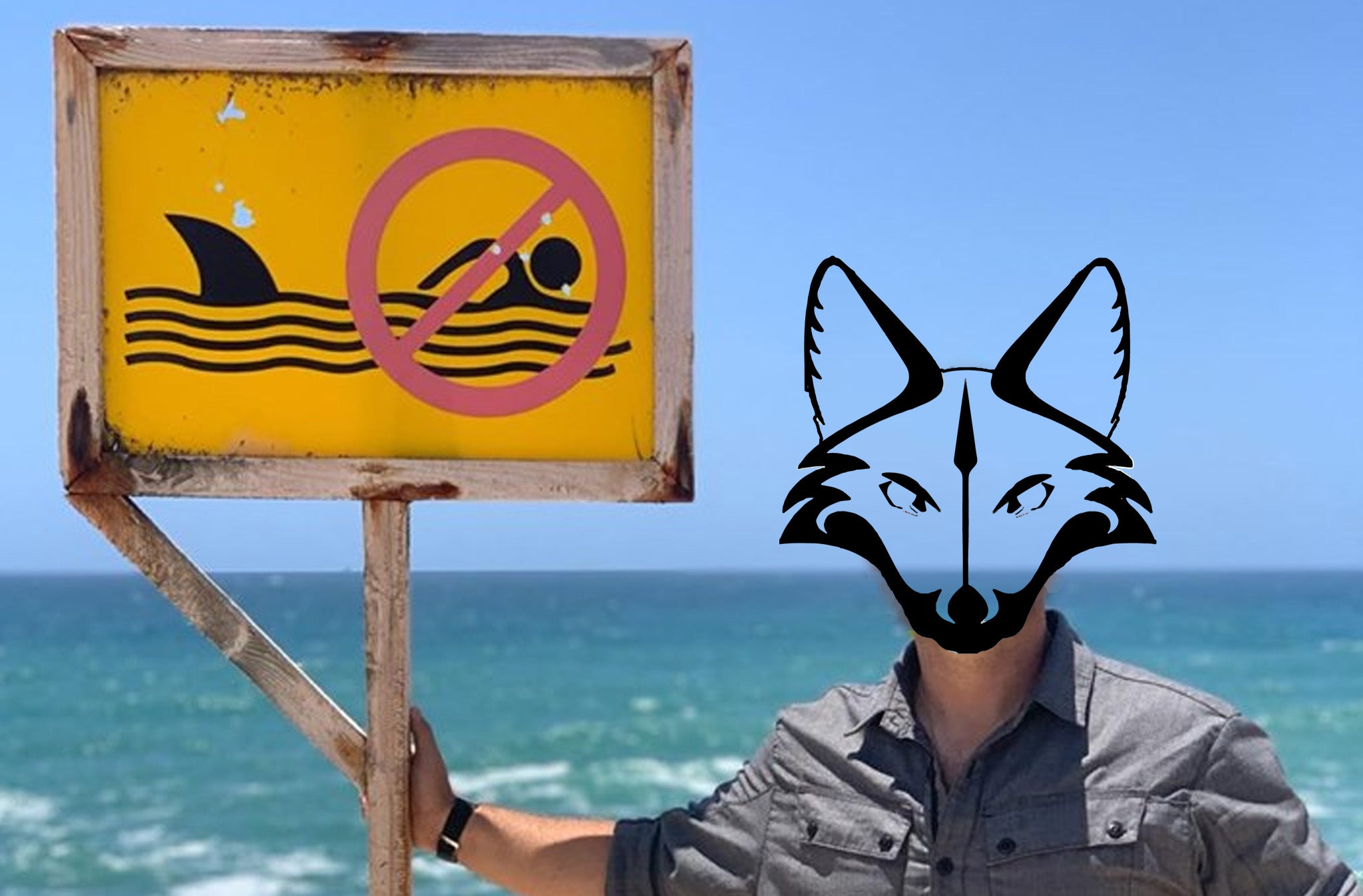 Rogue Travel – Urban Physical/Digital