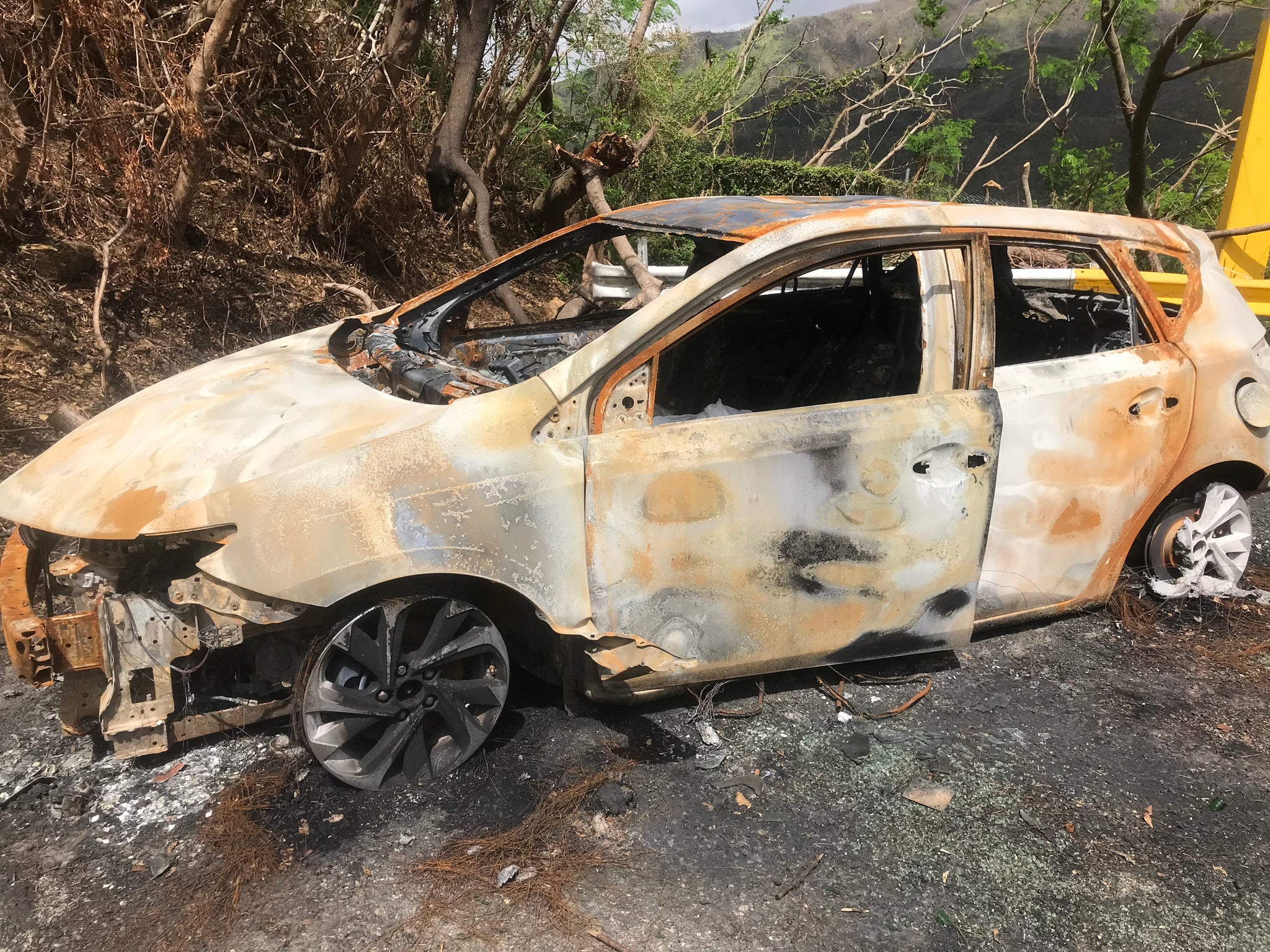 Return on Human Investments