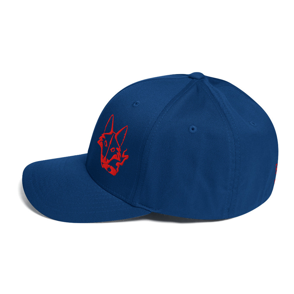 Rogue Stogies Hat by Rogue Dynamics