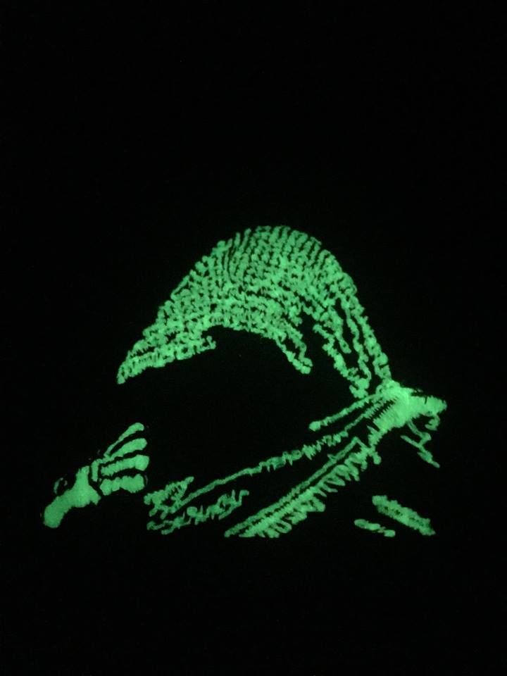Rogues Patch by Rogue Dynamics