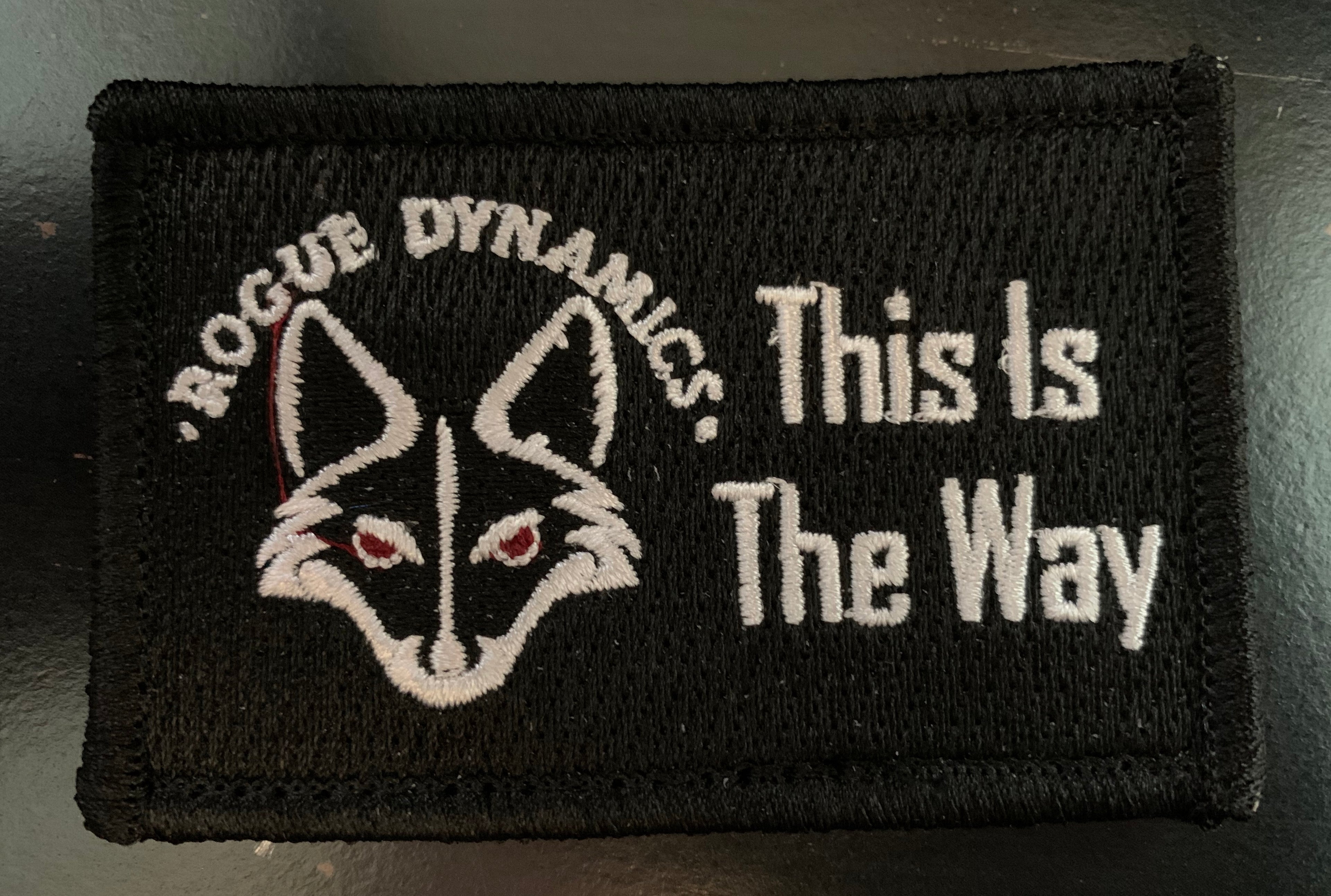 This is the Way by Rogue Dynamics
