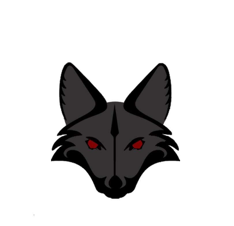 Rogue Auto Fox