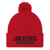 Beaten Path Pom-Pom Beanie